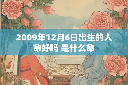 2009年12月6日出生的人命好吗 是什么命
