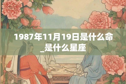 1987年11月19日是什么命_是什么星座