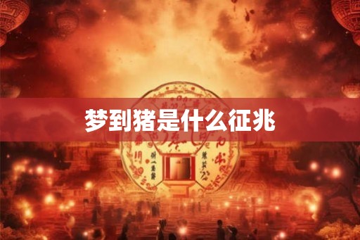 梦到猪是什么征兆