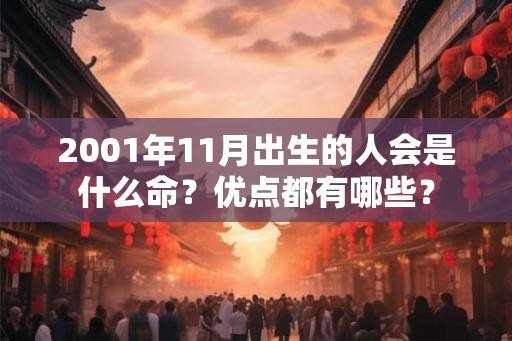 2001年11月出生的人会是什么命？优点都有哪些？