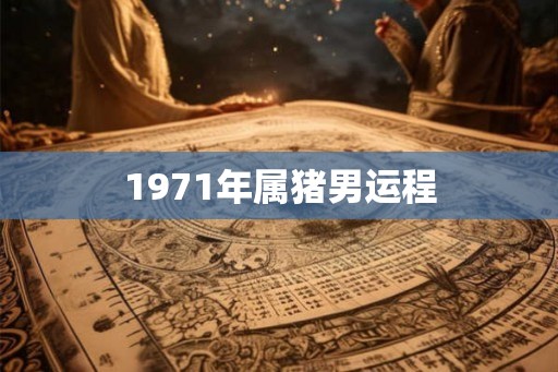 1971年属猪男运程