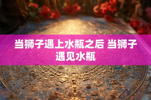 当狮子遇上水瓶之后 当狮子遇见水瓶