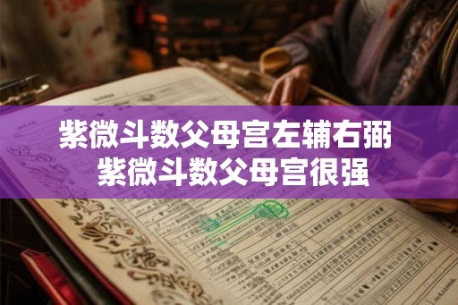 紫微斗数父母宫左辅右弼  紫微斗数父母宫很强