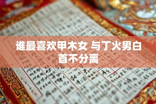 谁最喜欢甲木女 与丁火男白首不分离
