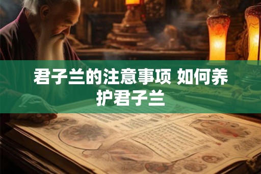 君子兰的注意事项 如何养护君子兰
