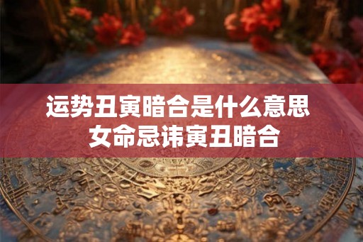 运势丑寅暗合是什么意思  女命忌讳寅丑暗合
