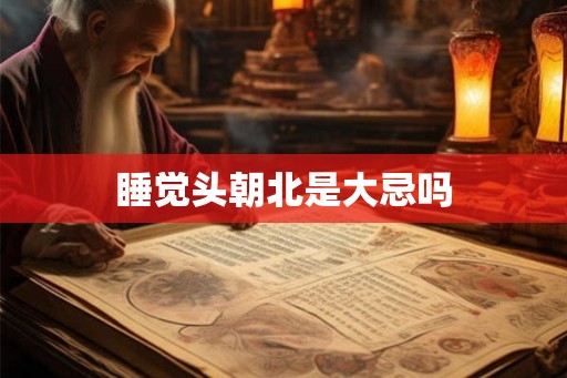睡觉头朝北是大忌吗