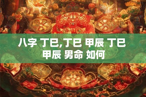 八字 丁巳,丁巳 甲辰 丁巳 甲辰 男命 如何
