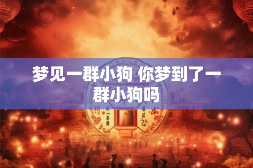 梦见一群小狗 你梦到了一群小狗吗