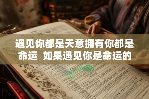 遇见你都是天意拥有你都是命运  如果遇见你是命运的安排