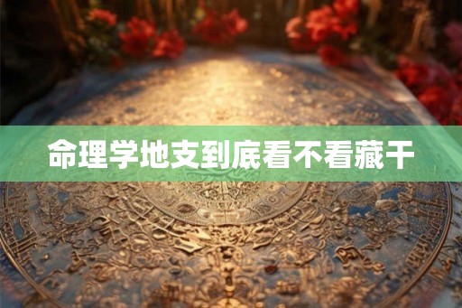 命理学地支到底看不看藏干