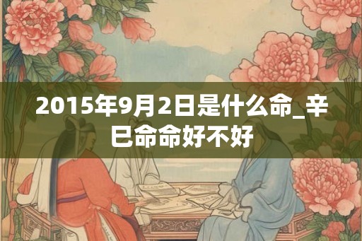 2015年9月2日是什么命_辛巳命命好不好