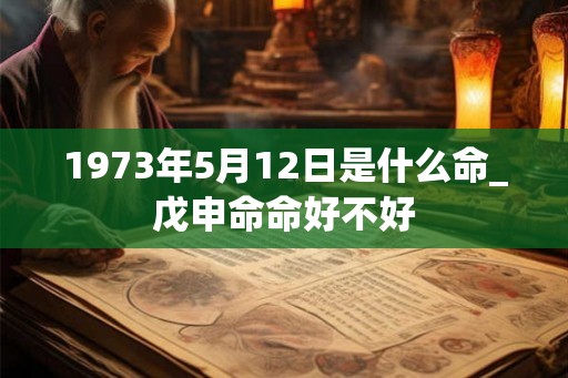 1973年5月12日是什么命_戊申命命好不好