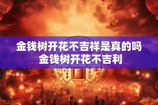 金钱树开花不吉祥是真的吗 金钱树开花不吉利