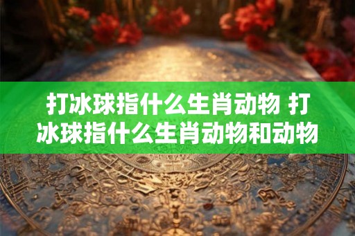 打冰球指什么生肖动物 打冰球指什么生肖动物和动物