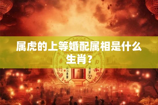 属虎的上等婚配属相是什么生肖？