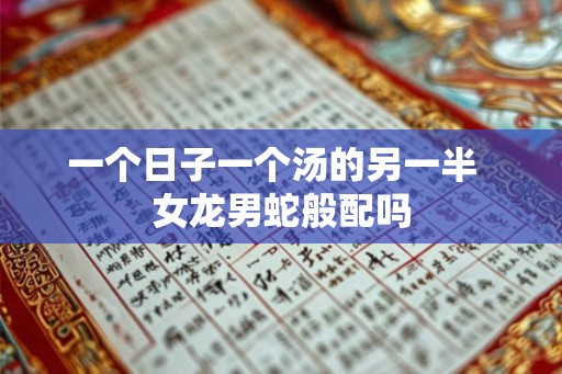 一个日子一个汤的另一半  女龙男蛇般配吗