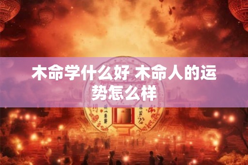 木命学什么好 木命人的运势怎么样 木命学什么好 木命人的运势怎么样