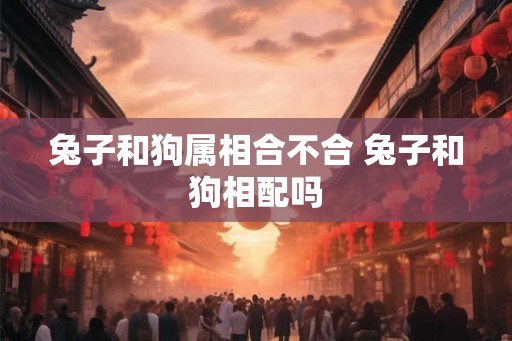 兔子和狗属相合不合 兔子和狗相配吗