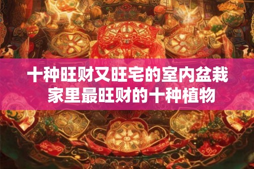 十种旺财又旺宅的室内盆栽  家里最旺财的十种植物