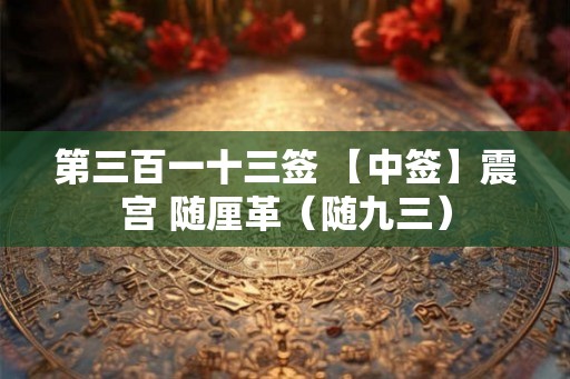 第三百一十三签 【中签】震宫 随厘革（随九三）