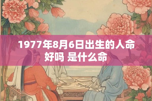 1977年8月6日出生的人命好吗 是什么命