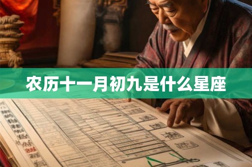 农历十一月初九是什么星座
