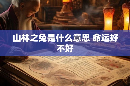 山林之兔是什么意思 命运好不好 山林之兔是什么意思 命运好不好