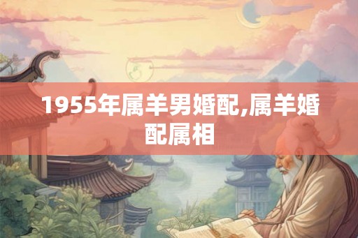1955年属羊男婚配,属羊婚配属相
