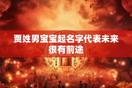 贾姓男宝宝起名字代表未来很有前途