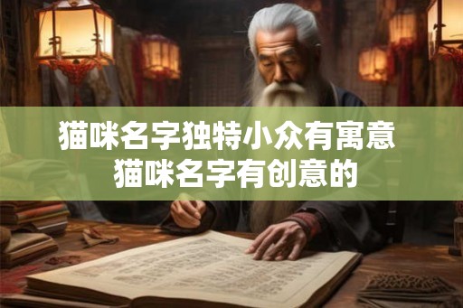 猫咪名字独特小众有寓意  猫咪名字有创意的