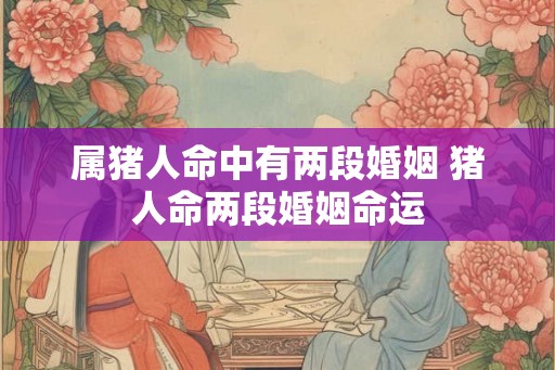 属猪人命中有两段婚姻 猪人命两段婚姻命运 属猪人命中有两段婚姻 猪人命两段婚姻命运