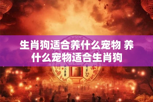 生肖狗适合养什么宠物 养什么宠物适合生肖狗