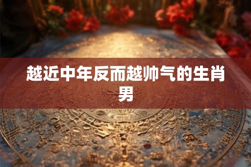 越近中年反而越帅气的生肖男