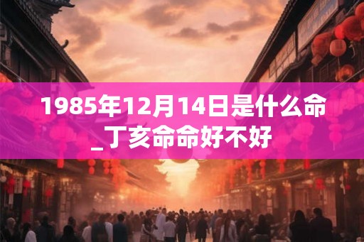 1985年12月14日是什么命_丁亥命命好不好