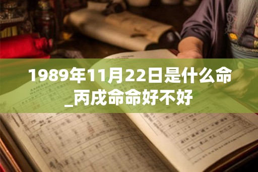 1989年11月22日是什么命_丙戌命命好不好