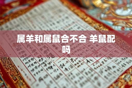 属羊和属鼠合不合 羊鼠配吗 属羊和属鼠合不合 羊鼠配吗