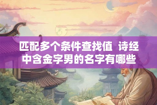 匹配多个条件查找值  诗经中含金字男的名字有哪些