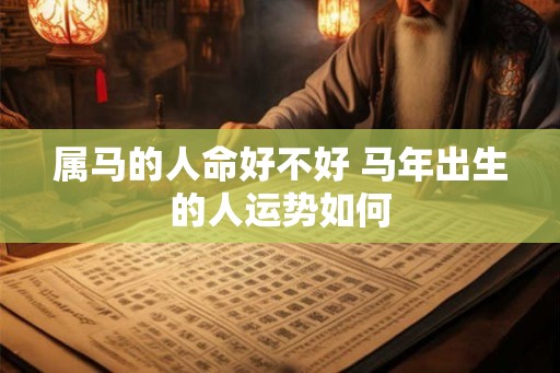 属马的人命好不好 马年出生的人运势如何 属马的人命好不好 马年出生的人运势如何