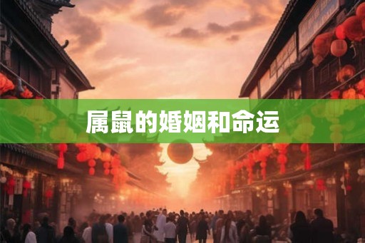 属鼠的婚姻和命运