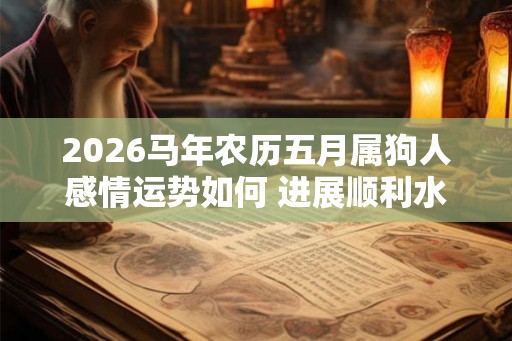 2026马年农历五月属狗人感情运势如何 进展顺利水到渠成