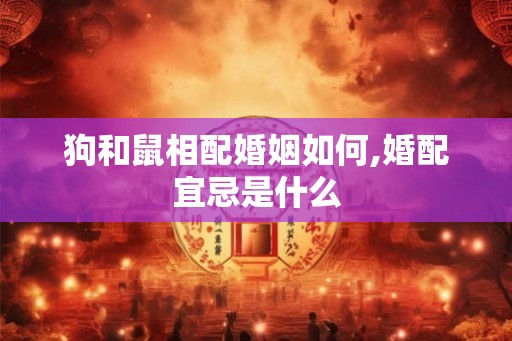 狗和鼠相配婚姻如何,婚配宜忌是什么 狗和鼠相配婚姻如何,婚配宜忌是什么