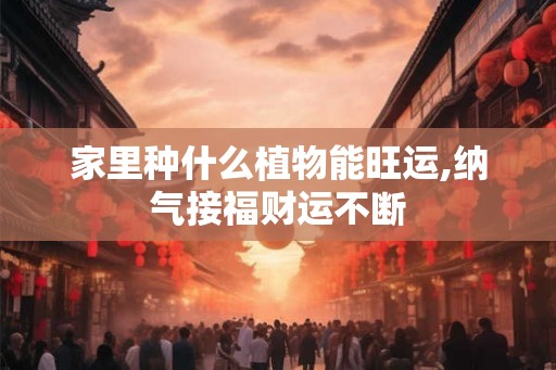 家里种什么植物能旺运,纳气接福财运不断