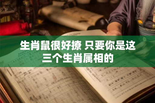 生肖鼠很好撩 只要你是这三个生肖属相的