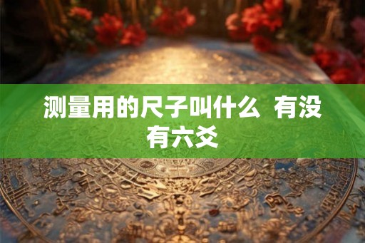 测量用的尺子叫什么  有没有六爻