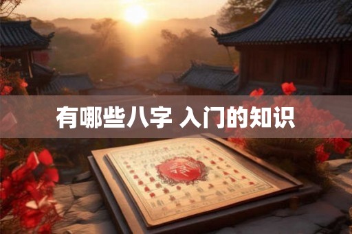 有哪些八字 入门的知识