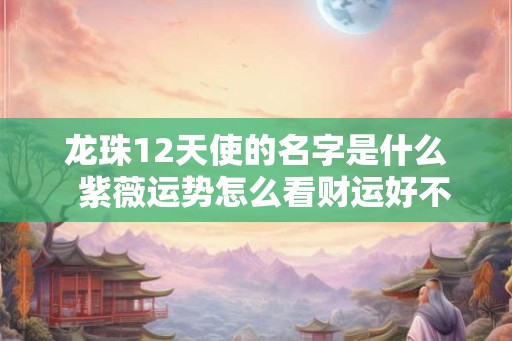 龙珠12天使的名字是什么  紫薇运势怎么看财运好不好呢女人