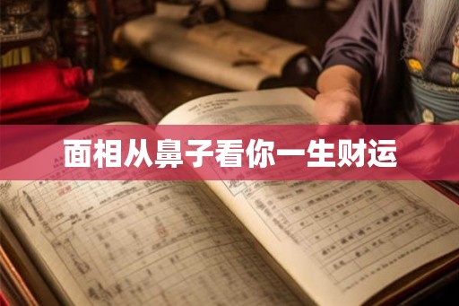 面相从鼻子看你一生财运