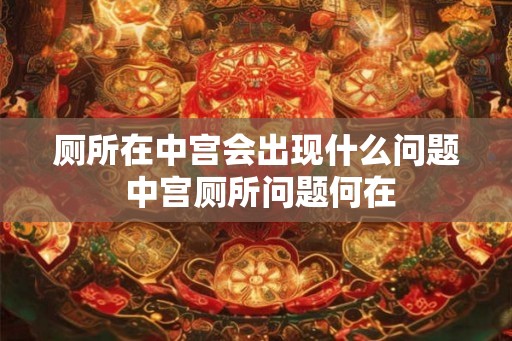 厕所在中宫会出现什么问题 中宫厕所问题何在