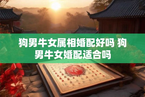 狗男牛女属相婚配好吗 狗男牛女婚配适合吗